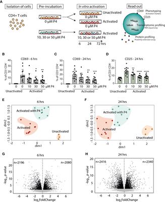 Progesterone Dampens Immune Responses in In Vitro Activated CD4+ T Cells and Affects Genes Associated With Autoimmune Diseases That Improve During Pregnancy